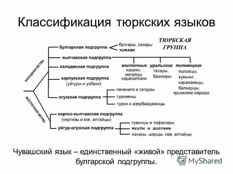 к какой языковой группе относятся чуваши. к какой языковой группе относятся чуваши. чуваши происхождение народа. алтайская языковая семья древо. история происхождения чувашского народа.