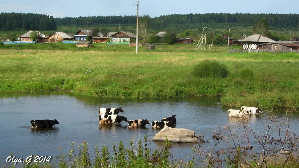 Ближняя деревня. Река Нейва Мурзинка. Деревня Мурзинка. Река Мурзинка Свердловская область. Река Нейва Свердловская область село Мурзинка.