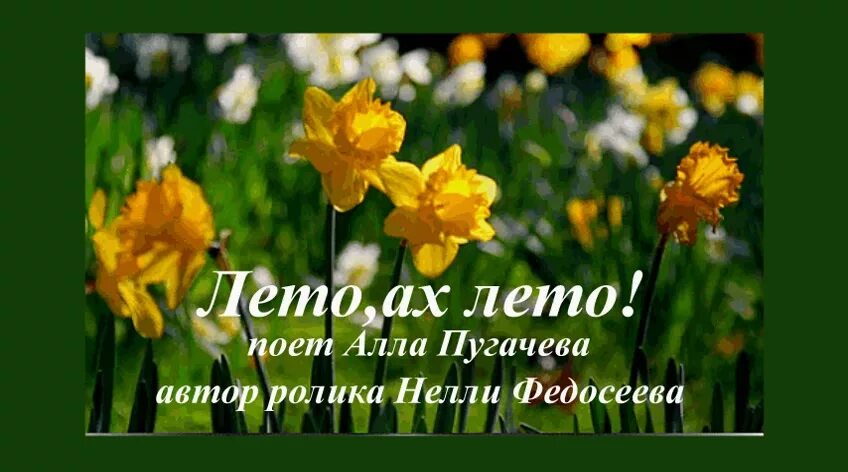 алла пугачёва в таллине 1978. пугачева лето ах лето слушать. лето ах лето алла пугачева. пугачева лето ах лето слушать. алла пугачёва звёздное лето текст.
