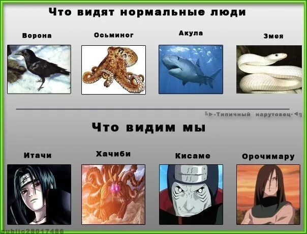 Нормально вижу
