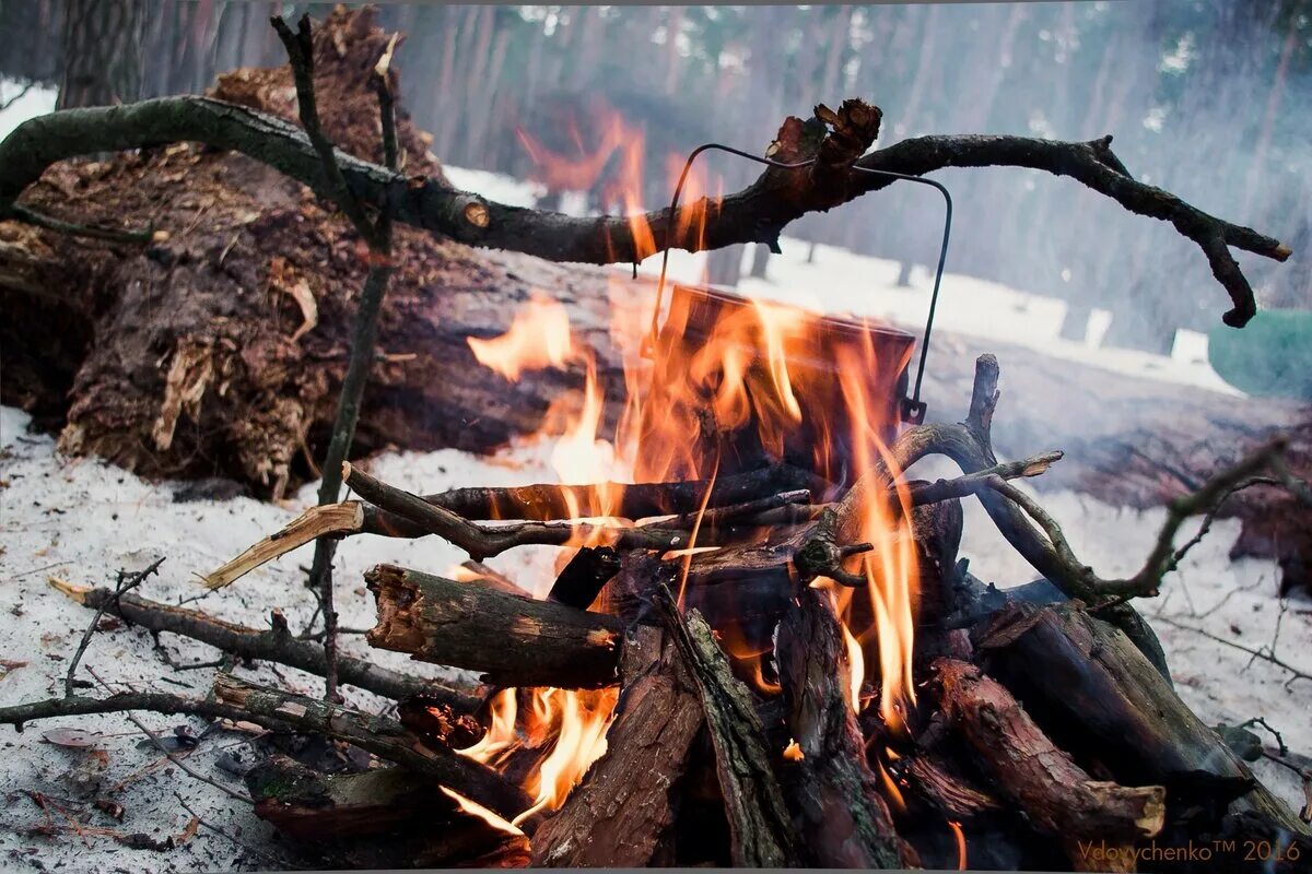 Тепло от костра передается людям. Костер зимой. Костер в зимнем лесу. Костер зимой в лесу. Огонь в зимнем лесу.