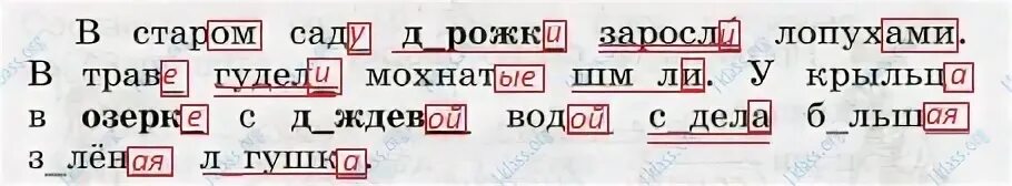 Русс 107. Русский язык 3 класс 1 часть рабочая тетрадь стр 44. Русский язык рабочая тетрадь 3 класс 1 часть страница 44. Русский язык 3 класс рабочая тетрадь 1 часть Канакина стр 44. Русский язык 3 класс рабочая тетрадь 1 часть стр 44 упр 107.