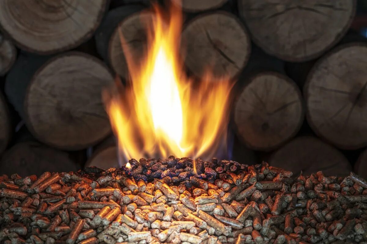 Сжигание дерева. Сжигание древесины. Сжечь дрова. Сожженная древесина. Сжигают древесину в печи.