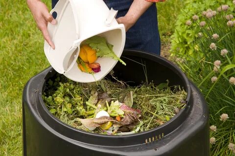 compost_methods_food_scraps.