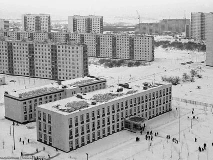 Школа 438 москва