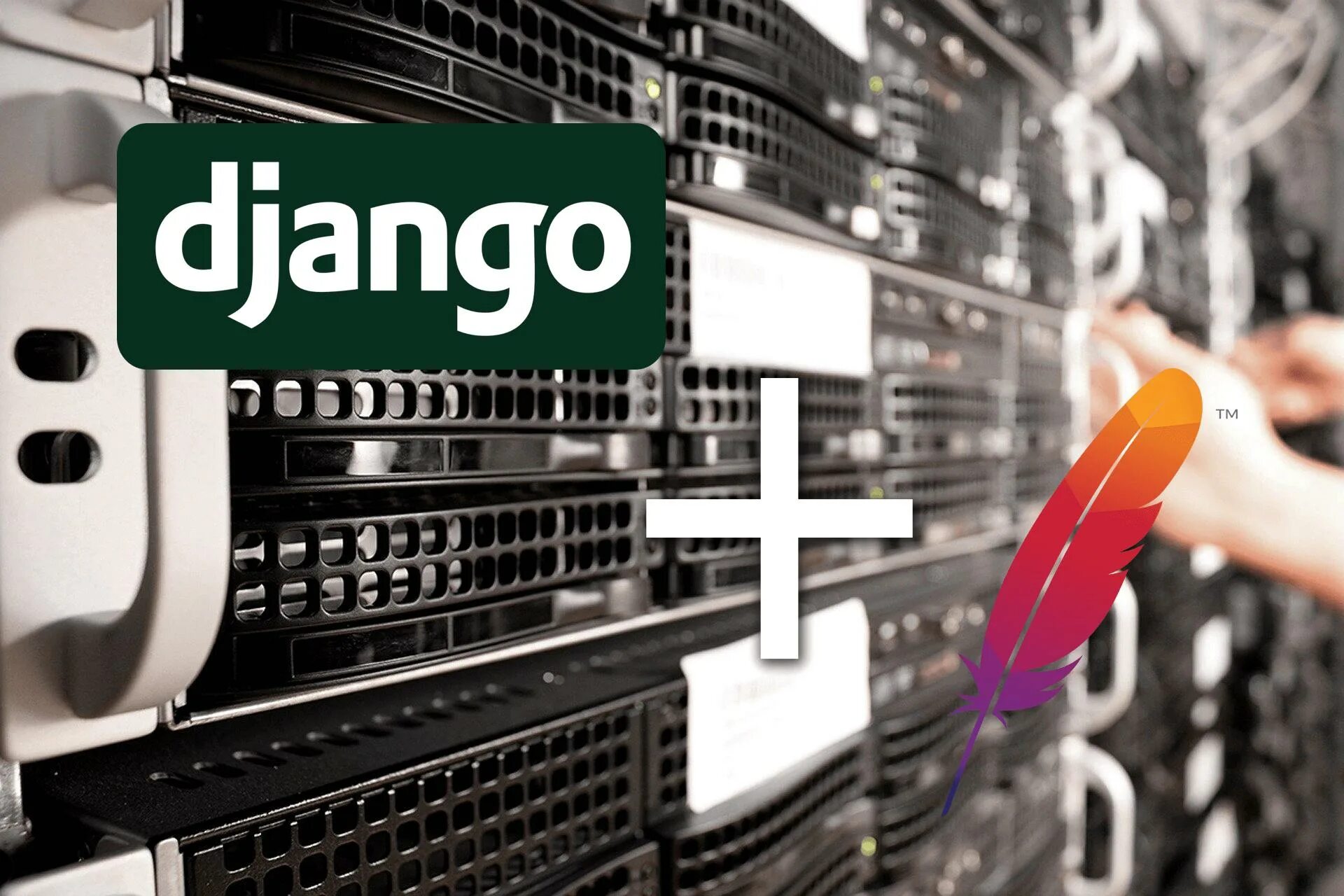 Django hosting. Django для виндовс. Django безопасность. Apache программирование. Codeby логотип.