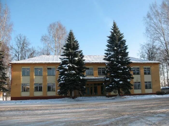 Погода демянск на 2 недели. Демянск новгородской области школа. демянская школа искусств демянск. демянск улица средняя школа школьная 10. центр в демянске.