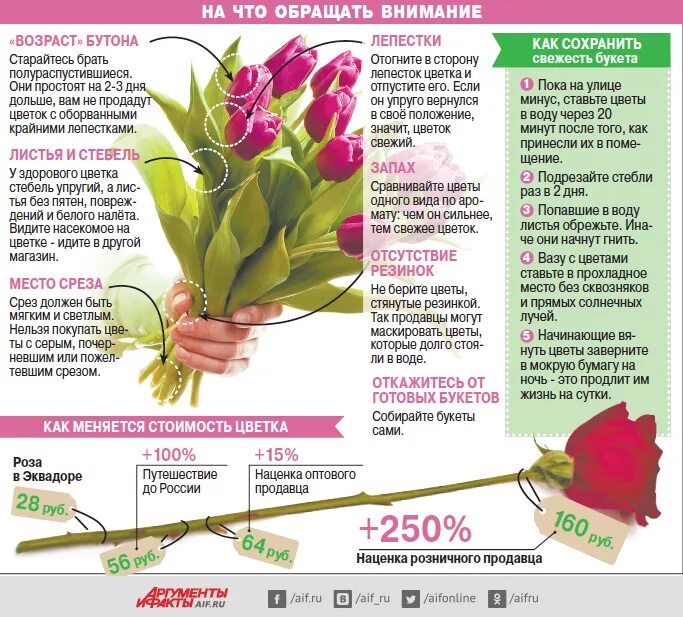Сколько тюльпанов надо дарить. Срезанные цветы. Цветы флористика названия. Памятка для букетов. Памятка о срезанных цветах.