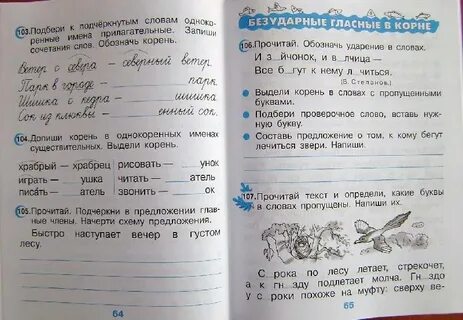 Быстро наступает вечер в густом лесу
