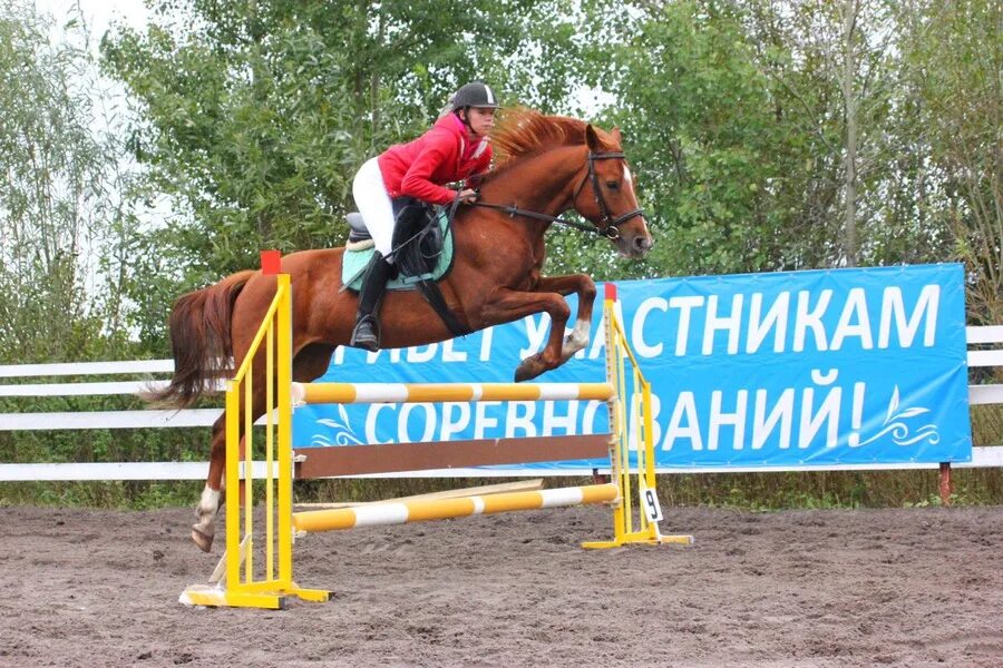 Кск сургут. КСК Династия белый Яр. КСК Династия Сургут. Конный спорт белый Яр. Конно спортивная база Сургут.