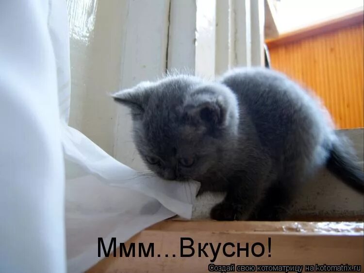 ммммм вкусно. оаоаоа ммм. ммм вкусно.