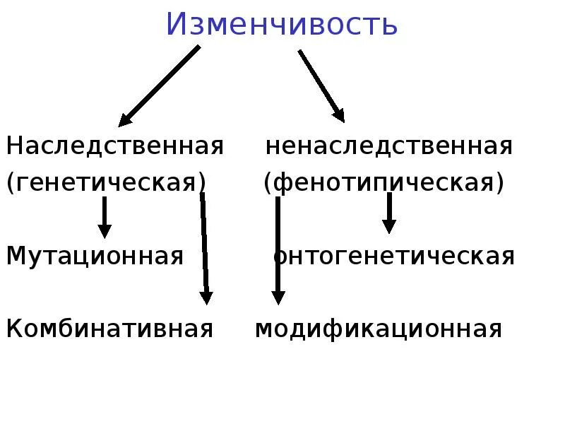 Закономерности изменчивости конспект. Формы ненаследственной изменчивости. формы изменчивости наследственная и ненаследственная. схема изменчивость наследственная и ненаследственная. изменчивость наследственная мутационная и.