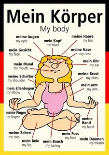 Как переводится body