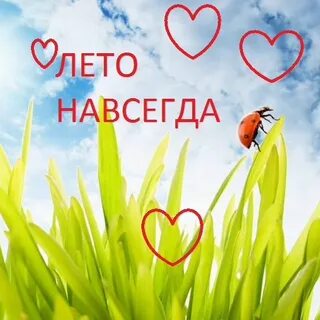 4 месяца лета