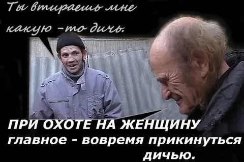 Давидович афоризмы