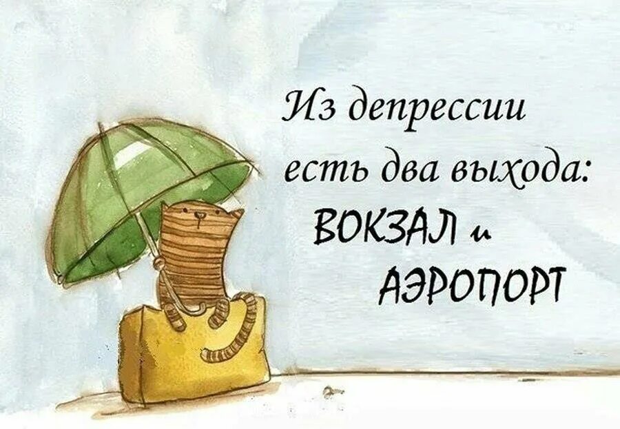 Прикольные про путешествия. Фразы про путешествия. Смешное про туризм. Креативные экскурсии. Шутки про путешествия.