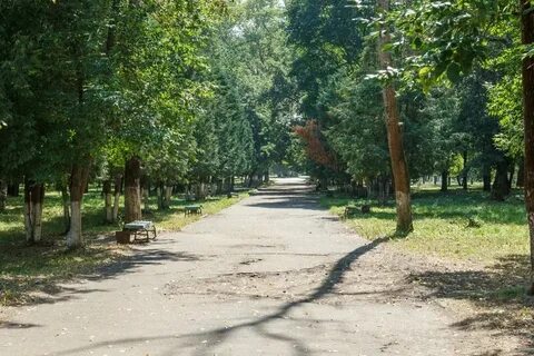 Ржевский парк