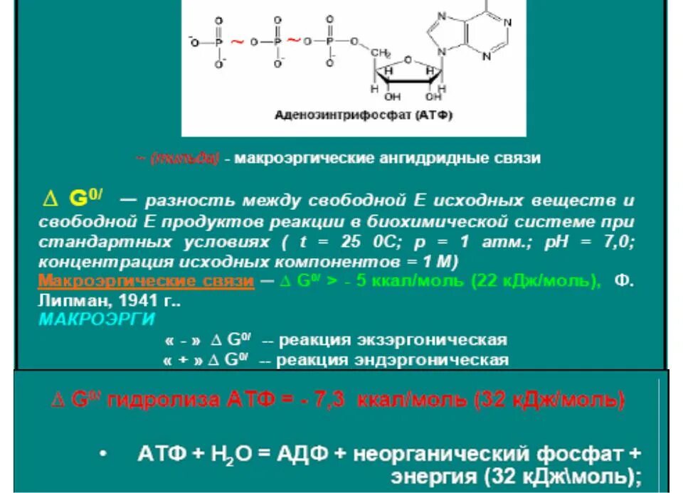 Макроэргические связи в атф. Ангидридная связь в АТФ. Макроэргическая ангидридная связь. Фосфоангидридные связи. НАДН ангидридная связь.