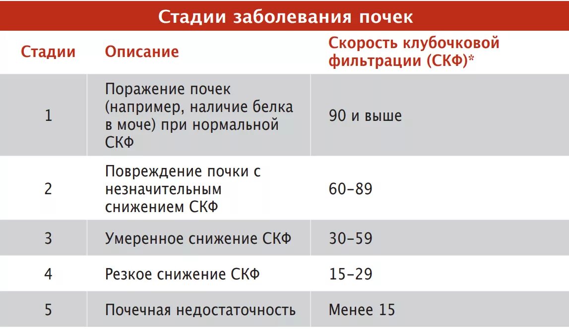 Скорость клубочковой фильтрации норма у мужчин. Клубочковая фильтрация почек норма. Скорость клубочковой фильтрации анализ крови норма. СКФ анализ крови норма. Скф по шварцу у детей