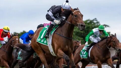 Horse race live