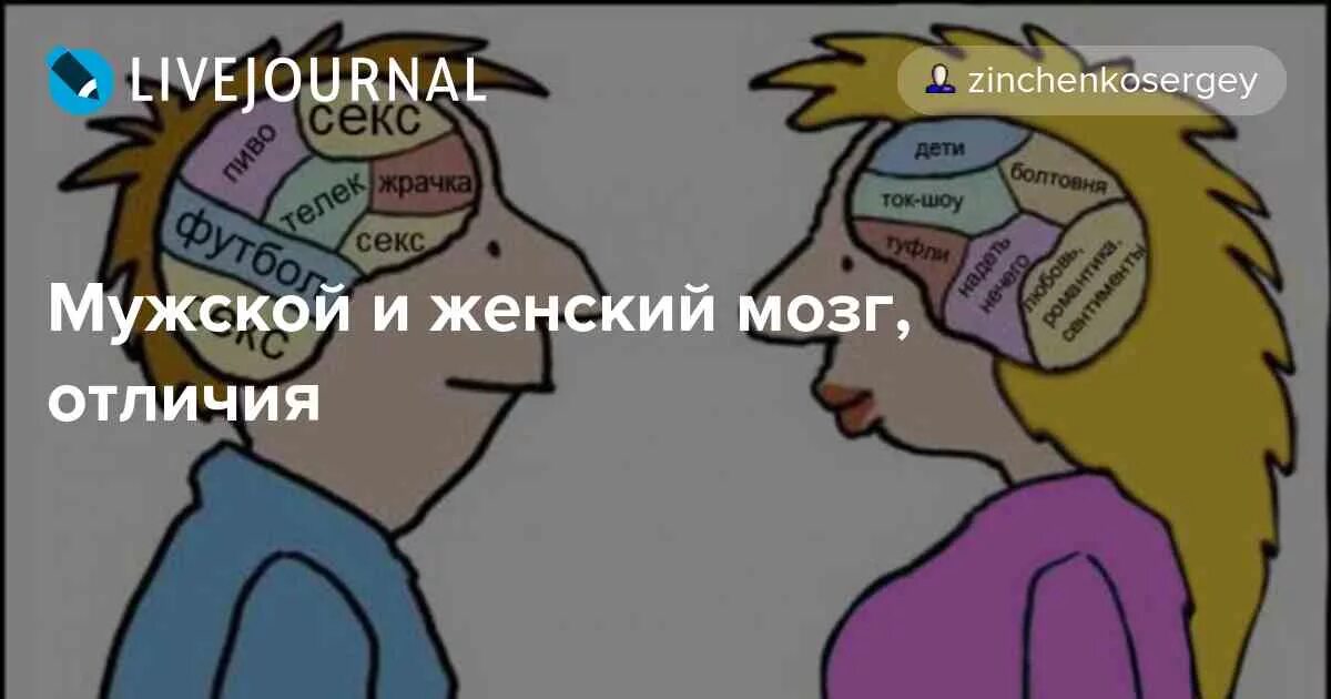 Мозг мужчин различия. Мозг мужчины и женщины различия. Мужской и женский мозг различия. Отличие мозга мужчин и женщин. Разница мужского и женского мозга.