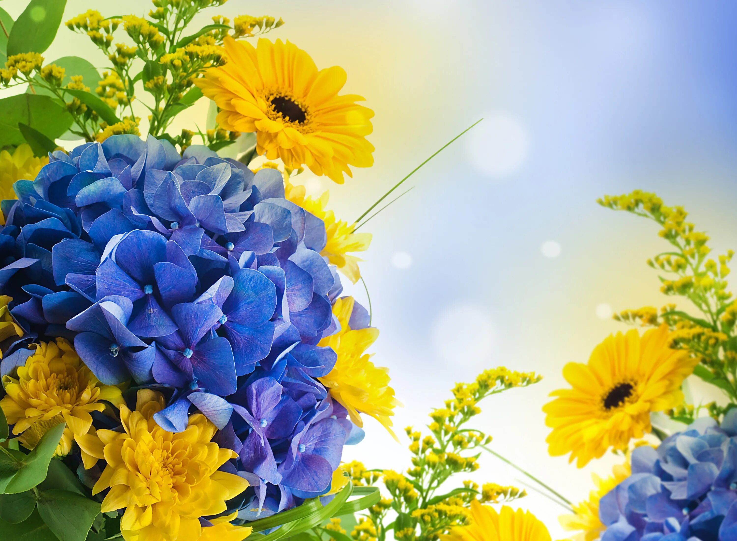 День спасибо пожелание. Яркие цветы. Желто синие цветы. Открытка цветы. Желто голубые цветы.