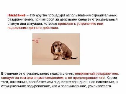 Негативное наказание