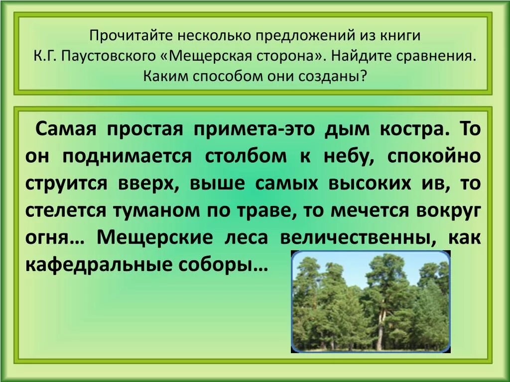 Любых много предложений. Самая простая примета это дым костра. Прочитайте несколько предложений. Мещёрские леса величественны как кафедральные соборы. Паустовский Мещерская сторона.