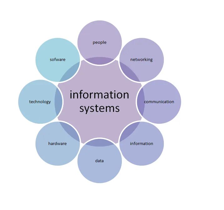 Management information system