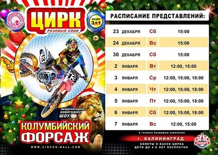 Балтика завтра расписание сеансов