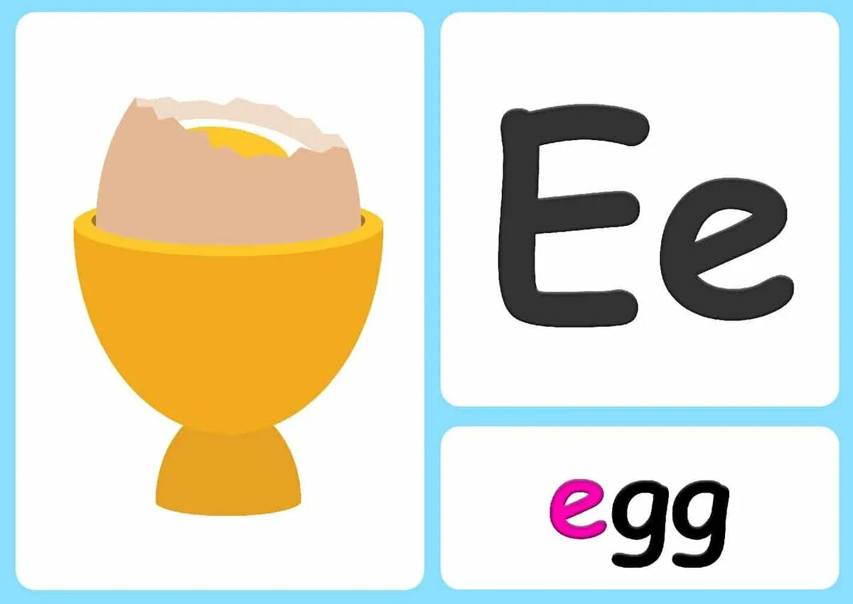 Как по английски будет яйцо. Английский алфавит Flashcards. Letter e Egg. Карточка для английского языка Egg. Phonics карточки с картинками.