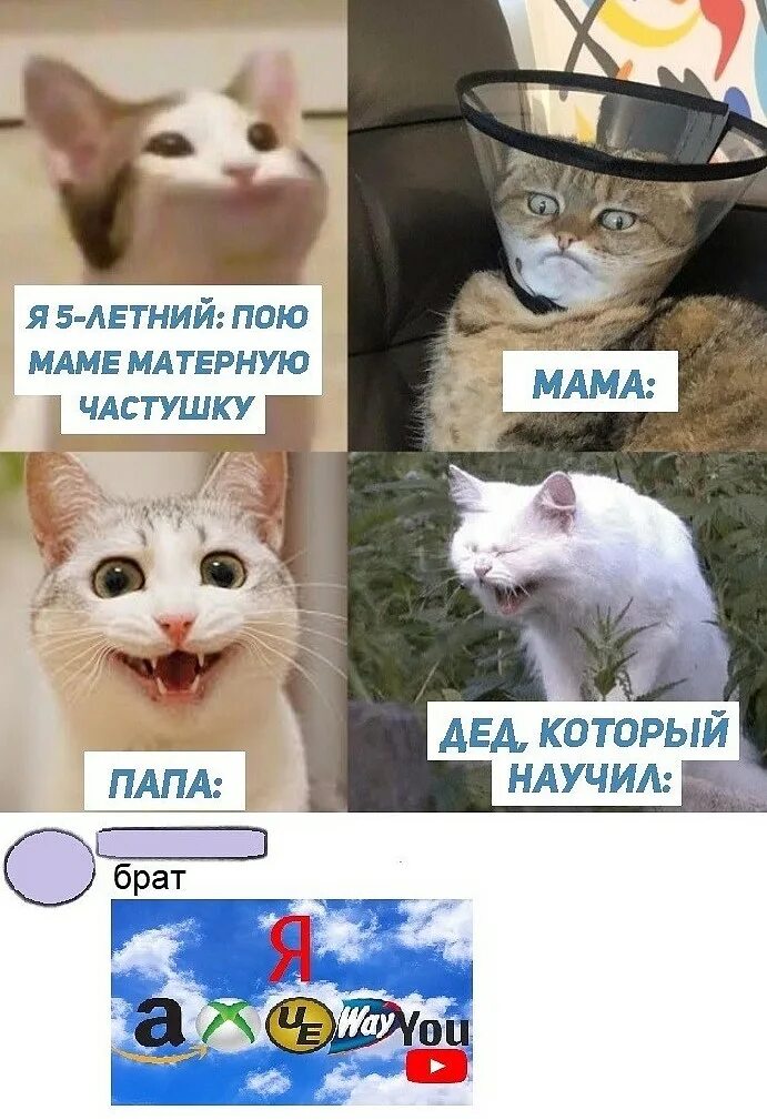 Мемы с котом. Мемы про котов. Матерный кот. Матершинные мемы с котиками. Я для мамочки пою
