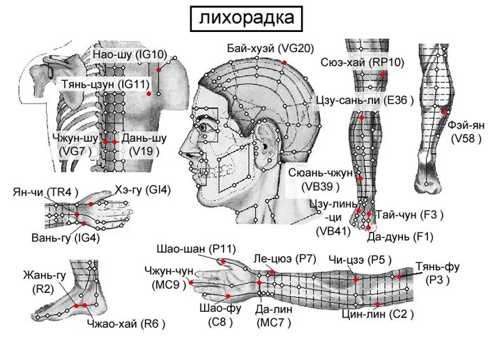 Точка 7 рс. Акупунктурная точка vg20 бай-хуэй. акупунктура vg 20 бай хуэй. эледиа акупунктура прибор. прибор эледиа схема.