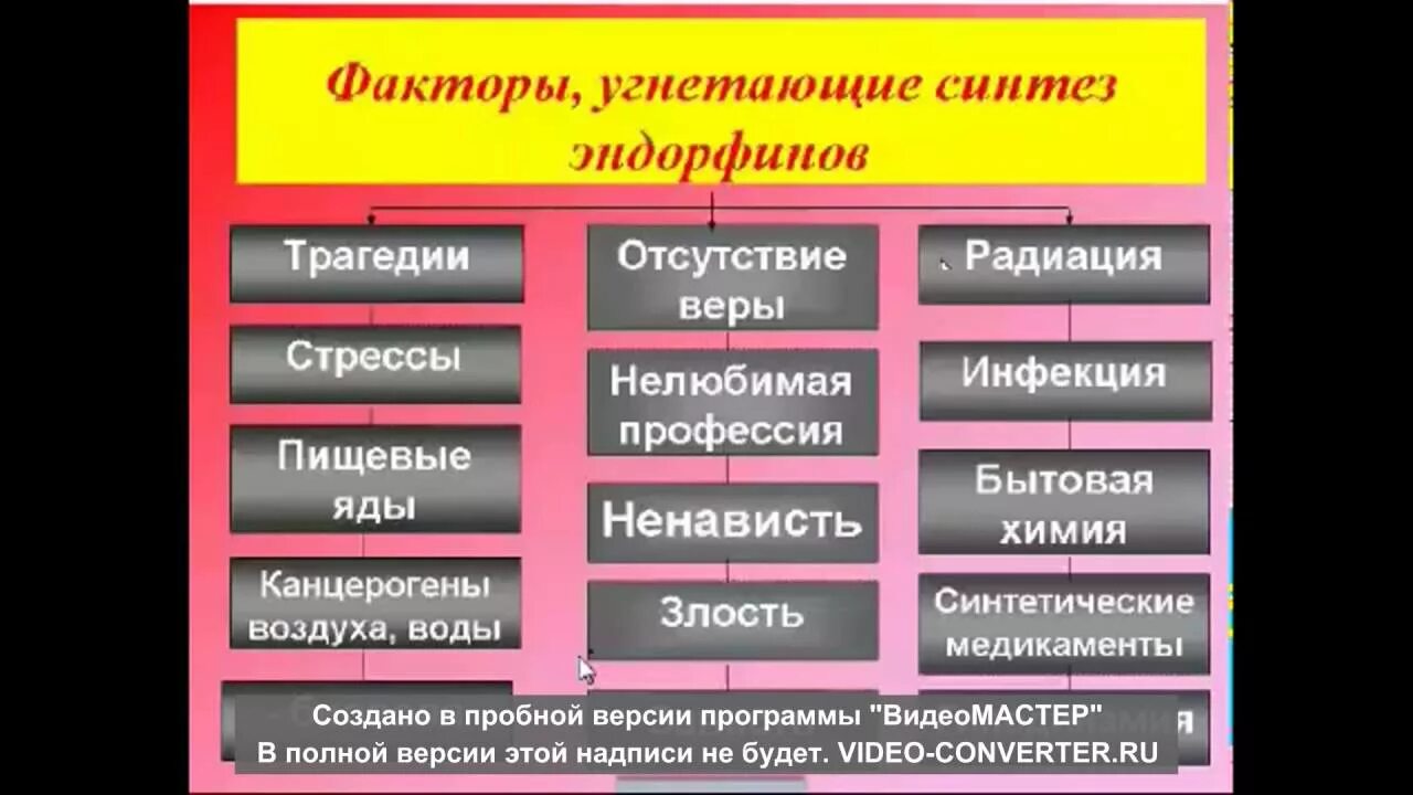 Эндорфин где. Повышение эндорфинов. Способы выработки эндорфинов. Способы получения эндорфинов. Повысить эндорфины.