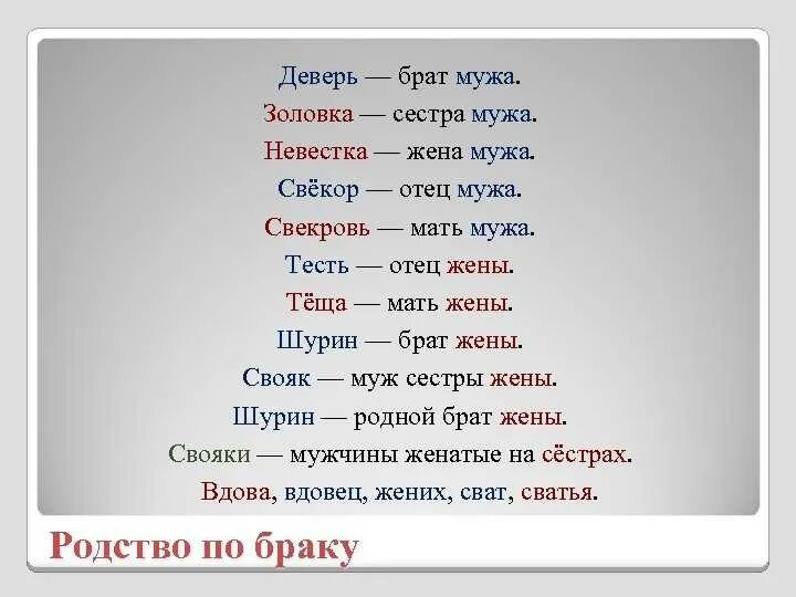Девушка брата как называется. Деверь золовка шурин. жена брата как называется. муж сестры. сестра жены для мужа как называется.