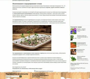 Питомник нижний новгород каталог