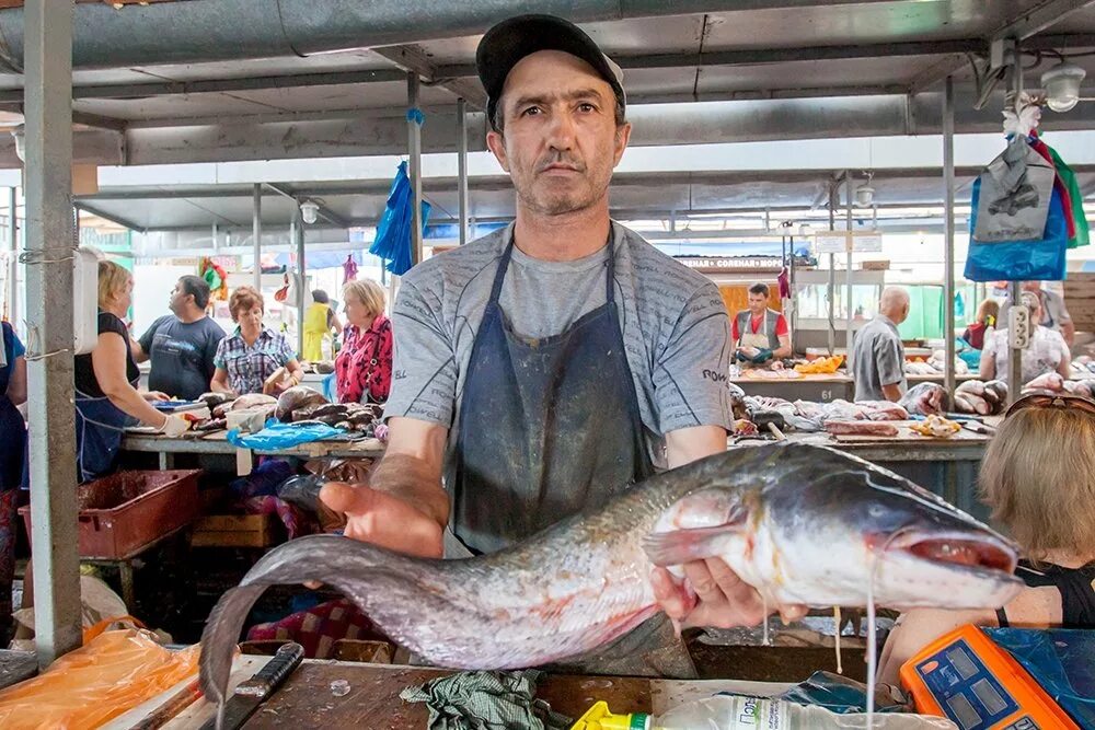 центральный рыбный рынок ростова на дону. центральный рынок рыба ростов на дону. на рынке ростова рыба. на рынке ростова рыба. ростов центральный рынок рыбный павильон.