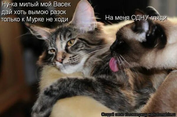 Доброе утро котик. Картинки для любимого человека. А ты милый мой к. Картинки любимому мужчине о любви. Скучаю очеььпо тебе любимый.