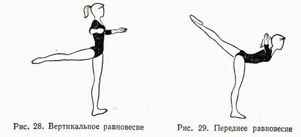 Сохранение равновесия гимнаста. Переднее равновесие в гимнастике. Вертикальное равновесие. Упражнение Ласточка техника выполнения. Ласточка гимнастическое упражнение.