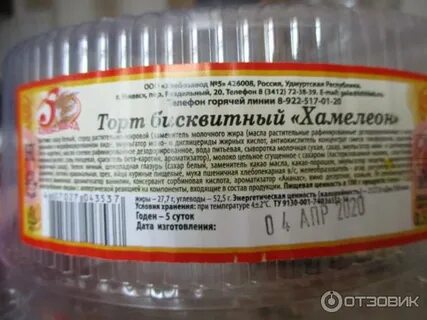 Хамелеон ижевск