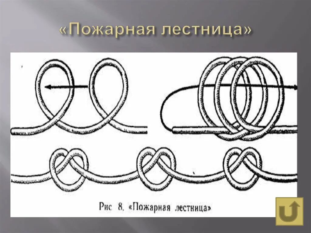 4 пожарных узла. Пожарная лестница узел схема. Пожарные узлы 4 способа схемы. Узел пожарная лестница как вязать.