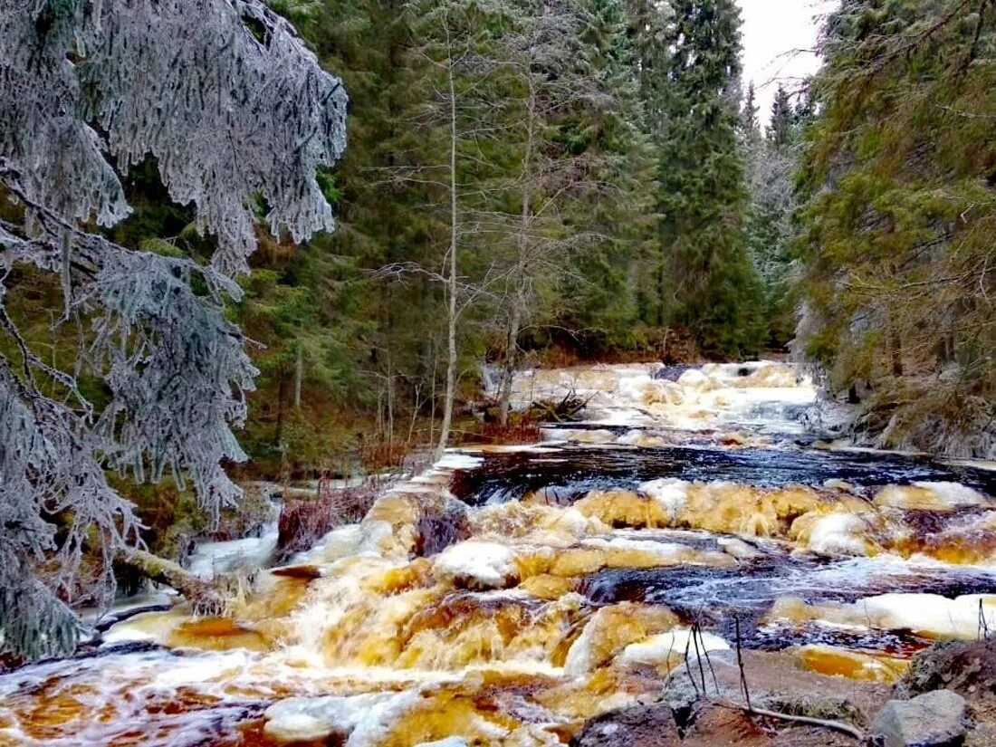 Дика карелия дика. Долина водопадов Ихала. Экопарк Долина водопадов Карелия Лахденпохский район. Долина водопадов Карелия Ихала. Долина водопадов Лумиваара Карелия.