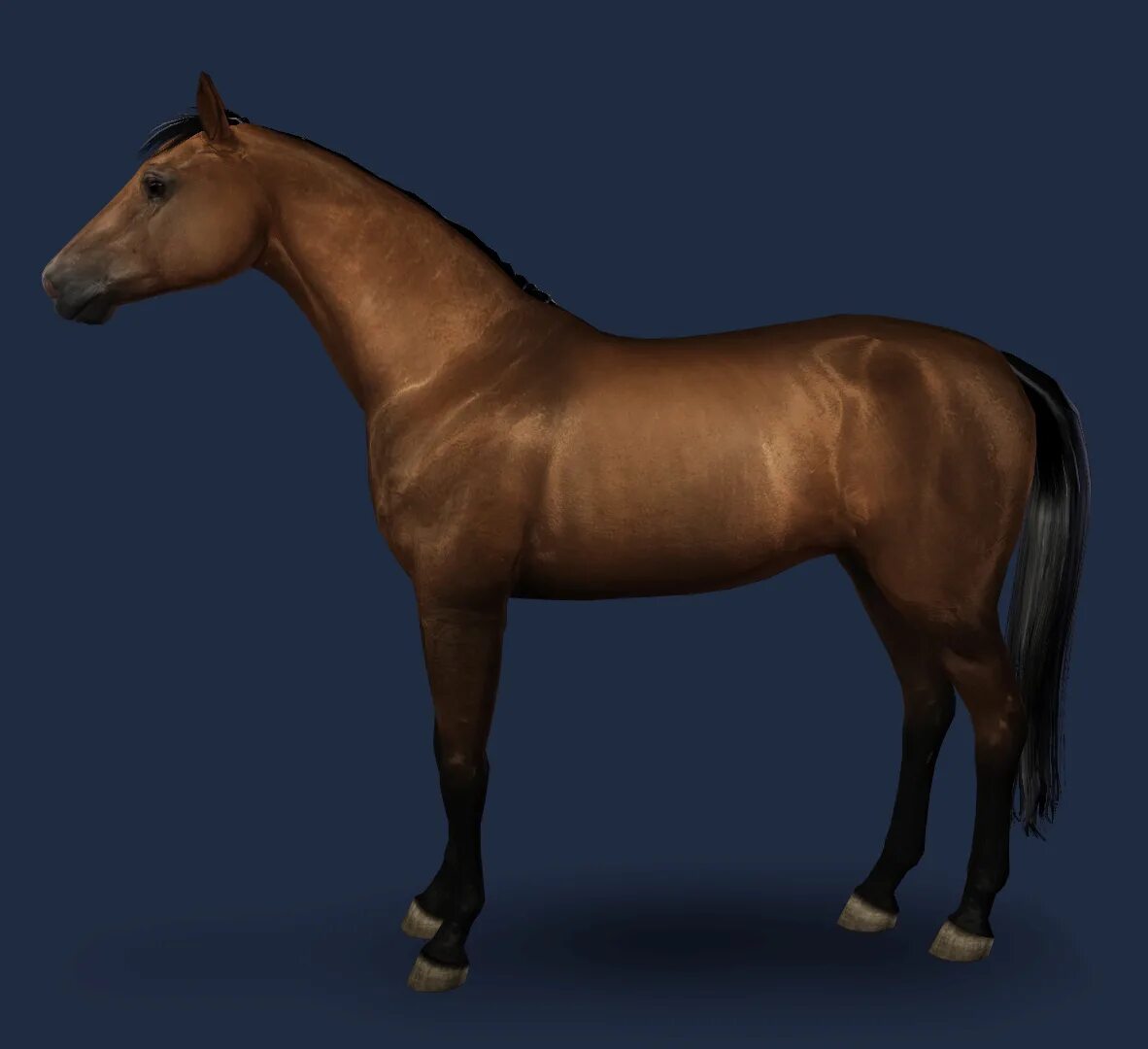 Мод лошади симс. Симс 3 лошади. sims 3 horse. sims 4 лошади. симс 4 конюшня.