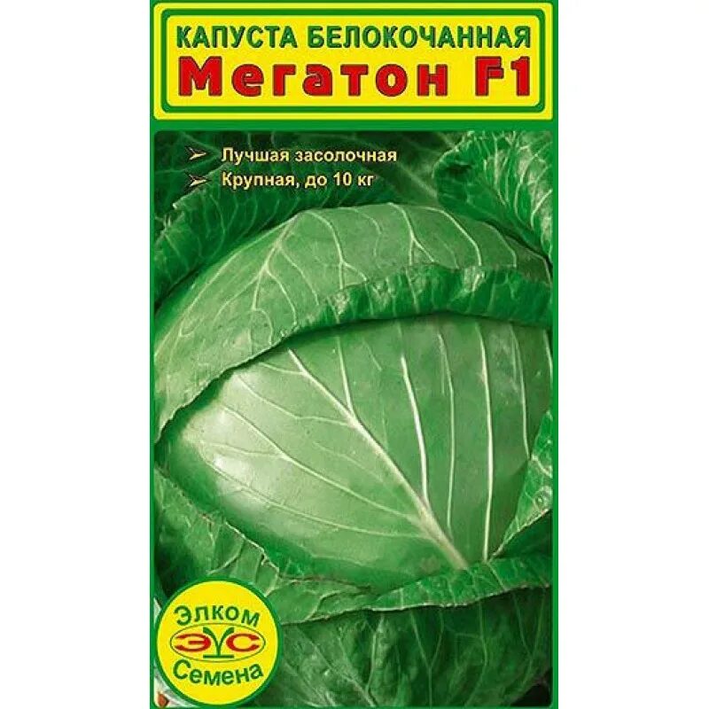 Капуста белокочанная Мегатон f1. Семена капусты Мегатон. Капуста поздняя Мегатон. Капуста Мегатон f1 из семян. Купить семена мегатон