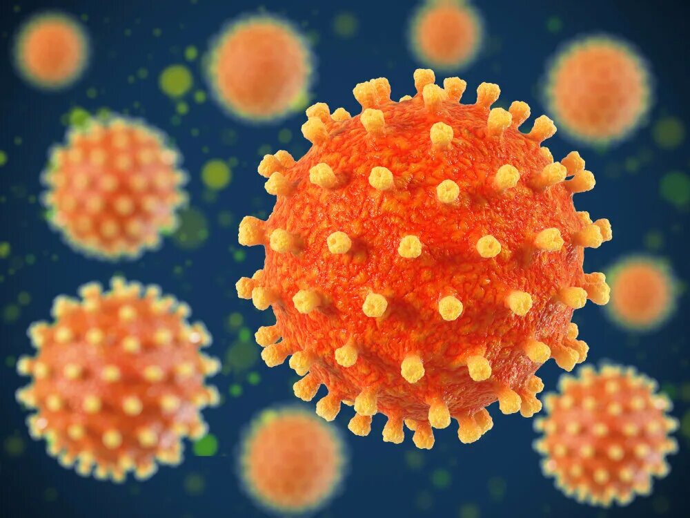 Herpes simplex 1 и 2 типа. Herpes simplex 1 и 2 типа