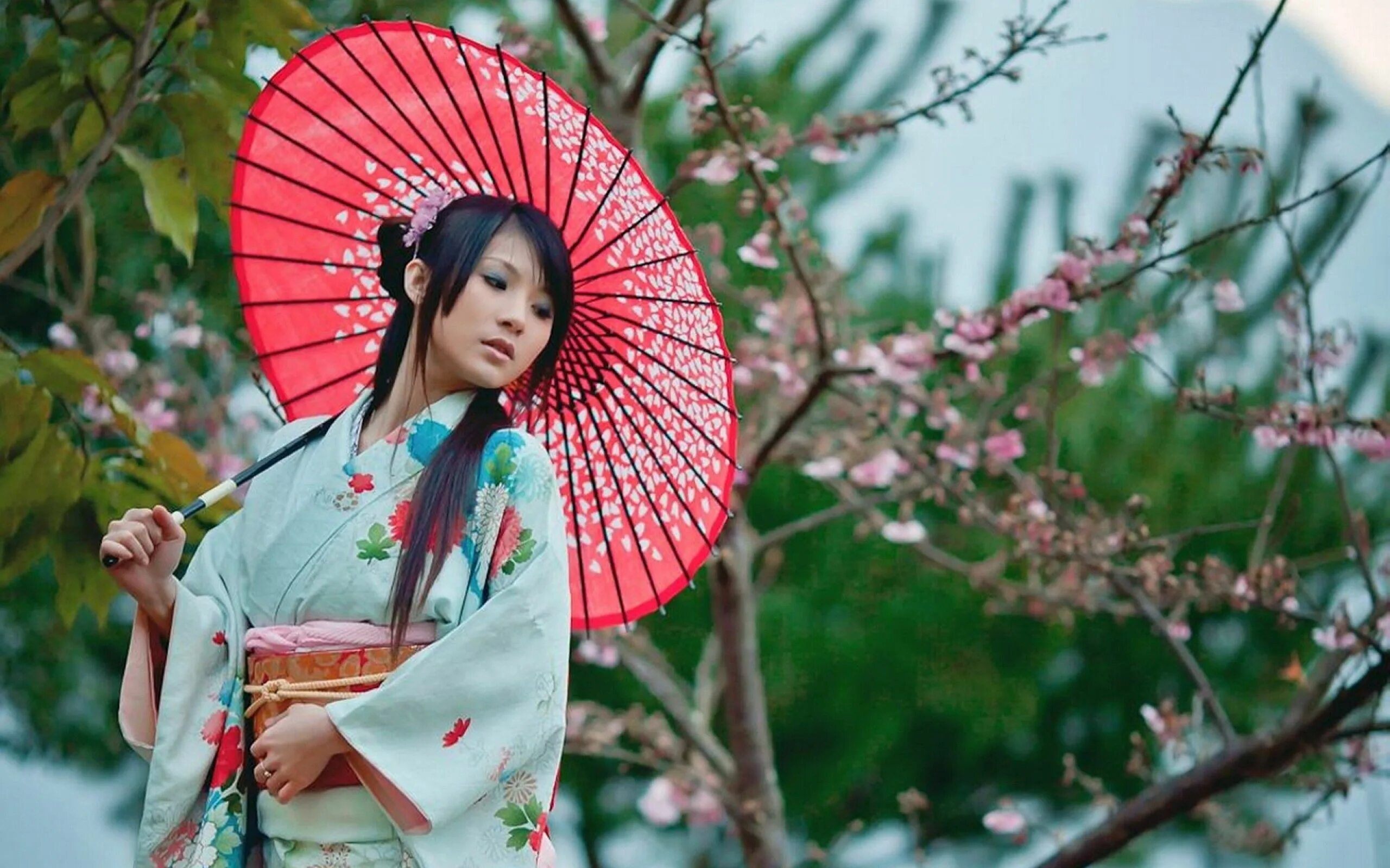 Japanese women is. Япония Сакура гейша. Японка кимоно Япония. Кимоно гейши. Китайские гейши.