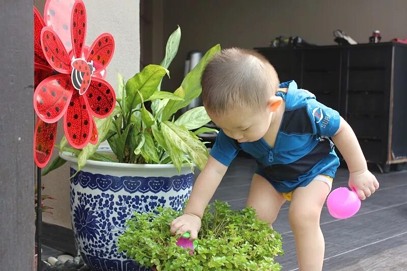 Little ok ru. Бойс пипи. Детский pissing. Девочки дошкольники пипи. Мальчики пи пи коллекция.