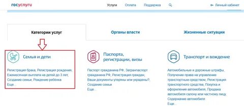 Как подать заявление на госуслугах дети арктики