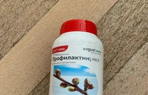 Профилактин за сколько до дождя