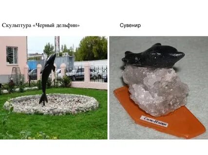 Черный дельфин соль